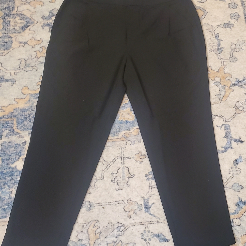 Everlane Black Women's Dress Pants